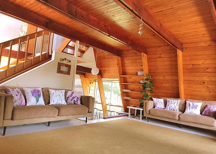 The Wooden A-Frame In Hamilton